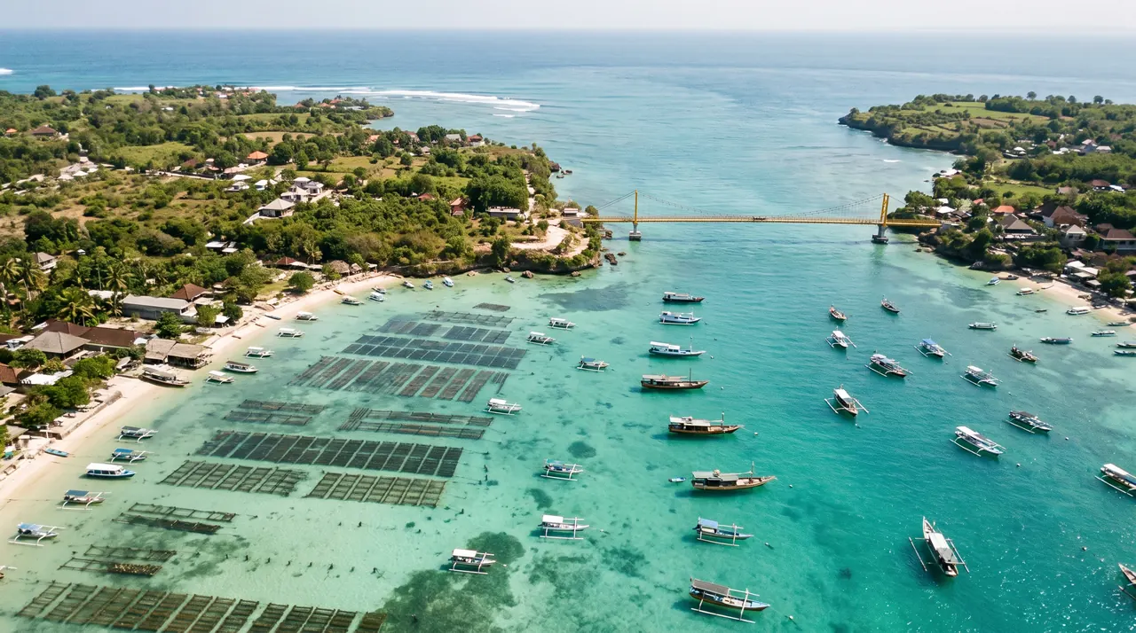 Nusa Lembongan bay and seaweed farms from a helicopter