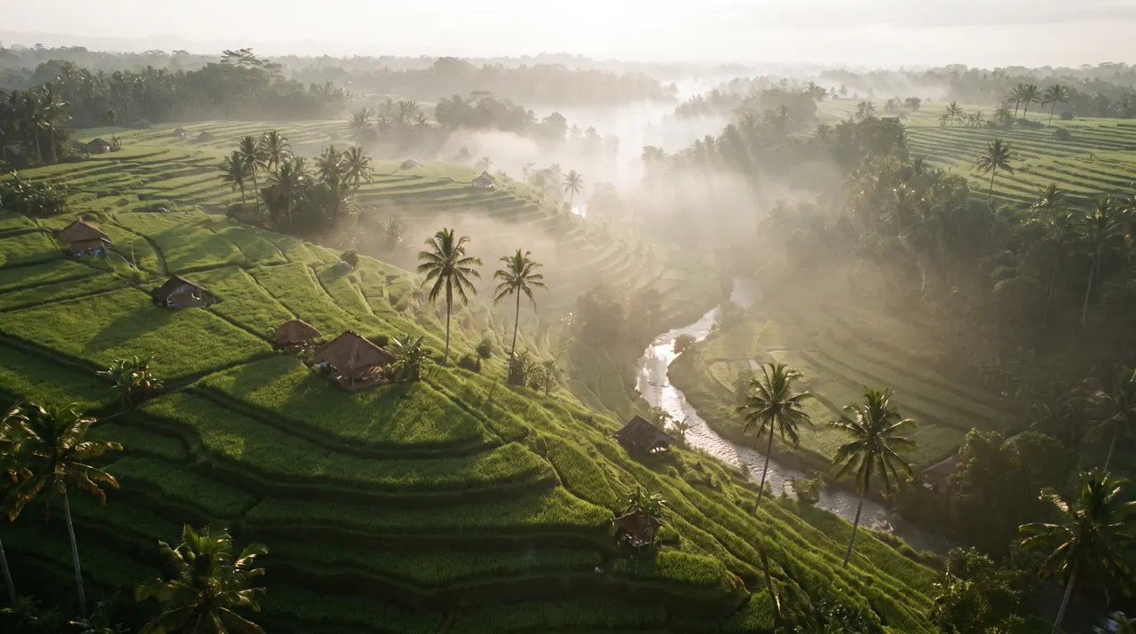 Tegalalang rice terraces near Ubud seen from a helicopter